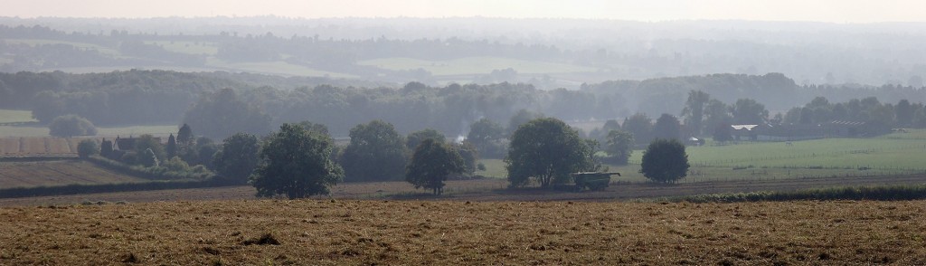 View from Cotman's Ash Lane