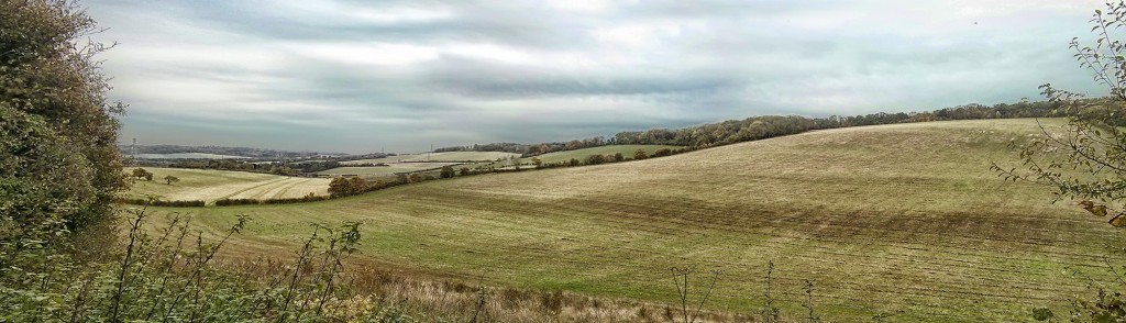 View East From Dean Road, Luddesdowne