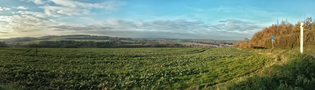 View towards Wateringbury from Kenward Road