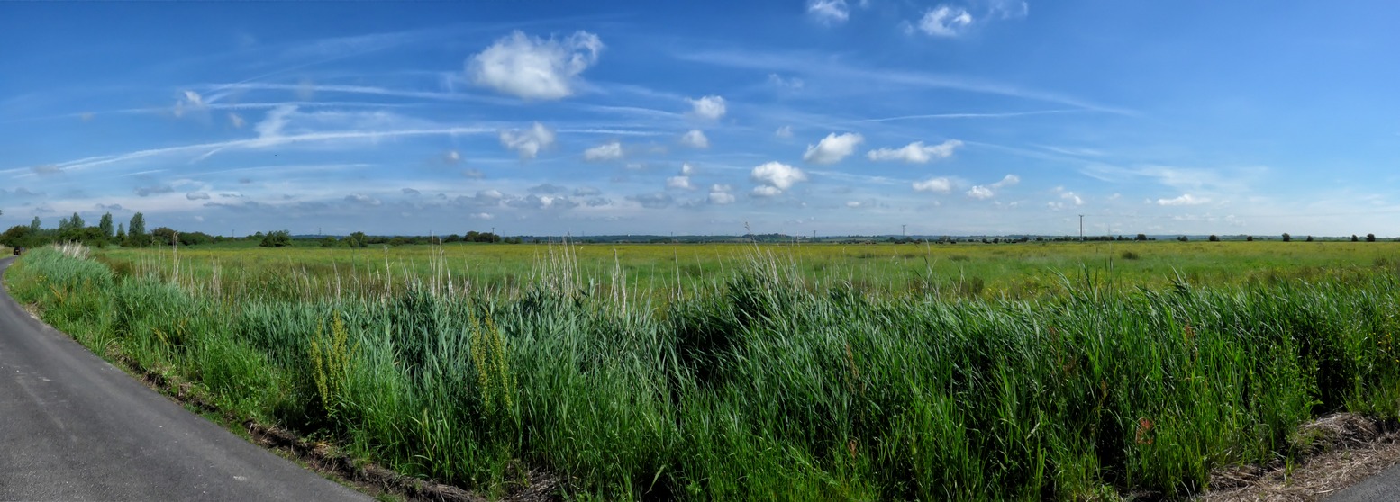 The Pevensey Levels - not a hill in sight!