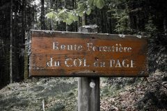 Route Forestière du col du Page